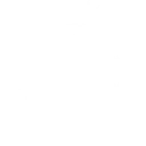Premier League